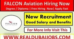 Falcon Aviation Careers